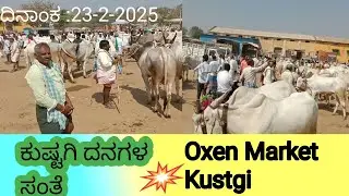 ಕುಷ್ಟಗಿ ದನಗಳ ಸಂತೆ  Oxen Market Kustagi  on Sunday Market 23-2-2025