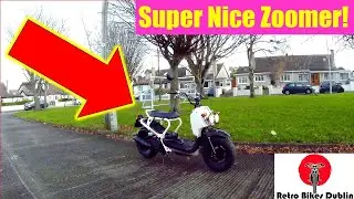 Honda Zoomer 50 - 2011 honda zoomer 50 - honda zoomer 50cc honda squad 50cc- review (ride along)