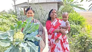 সোনা মা এই প্রথম বার! কাঁচকলা দিয়ে দেশি মাগুর মাছ সাথে বাগানের ফুলকপি চিংড়ি! Sundarban Cooking 