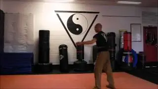 The Bodlak Combat Whip