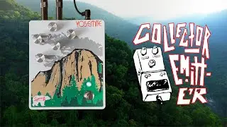 Spruce Effects - Yosemite