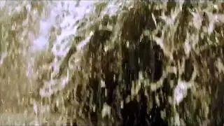 Fiume