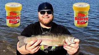 Best RIG & BAIT For RAINBOW TROUT (CATCH CLEAN COOK) Irvine Lake