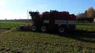 Agrifac WKM HEXA, 2001r, 6-rzędy, Kopanie burak&oacute;w. (nie holmer, ropa, kleine)