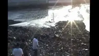 Mumbai Vagabonds visit the Flamingos at Sewri on World Environment Day