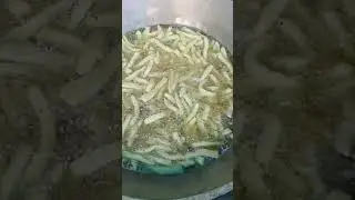 #shortvideo Preparation of nimti for food is in progress #shorts #shortsfeed #shortvideo
