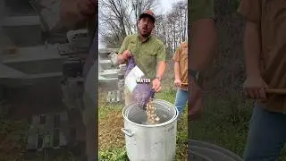 🥜ЛУИЗИАНСКИЙ ЭКСПЕРИМЕНТ С ВАРЕНЫМ АРАХИСОМ #каджун #рецепт