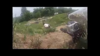 Canadian Carnage 2