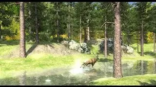 Deer hunt game | Animal ragdoll