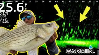 CRUSHING Big Spring Fish on Garmin LIVESCOPE!!