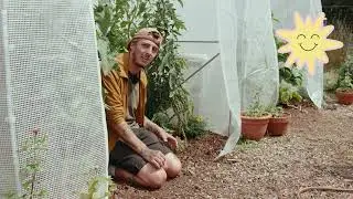 Roots Allotments - Increasing Growth & Biodiversity - Companion Planting