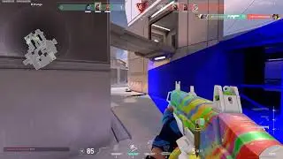 INSANE YORU BUG