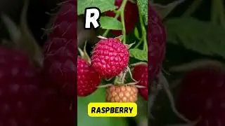 ABC Fruit Song 🍎 | Fun A to Z Fruits for Kids | Learn with Music | #abcd #kids #viralvideo