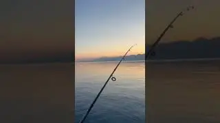 Is it shark?!! Fishing in Antalya, Turkey #citywalk #fishing #sea #mediterranean