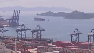 China's exports suffer as tariffs hammer US demand | REUTERS