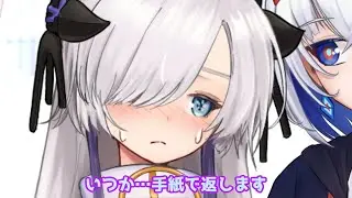 星界ちゃんと裏命ちゃんの秘密の文通【ソフトウェアトーク劇場】