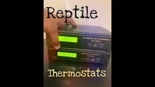 Everything You NEED To Know On The VE 200 and VE 300x2 l Dixon's Reptillia