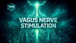 Vagus Nerve Stimulation 111Hz | Nervous System Reset & Anxiety Relief