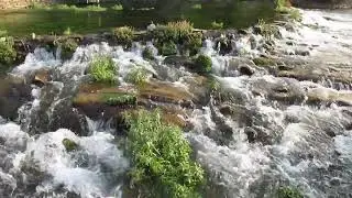 MVI 8814 giant springs