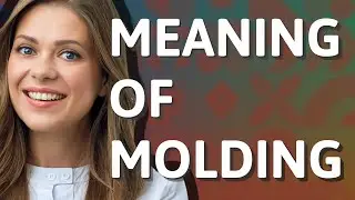 Molding | meaning of Molding