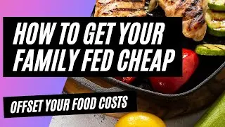 HOW TO GET YOUR FAMILY FED CHEAP,  How Can You Afford Organic Food