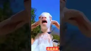 🧙Garena Free Fire Sent Baby Goat Magic | Rai Mother Magic #shorts
