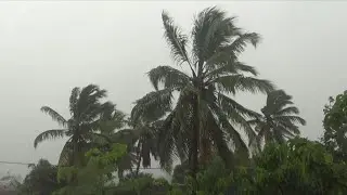 Rain, strong winds in Madagascar before the arrival of Cyclone Batsurai | AFP