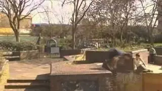 WFPF Video Submission- Matt Milano 2010