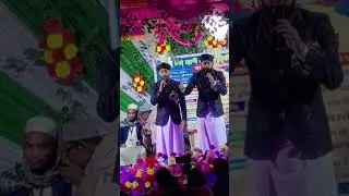 Nettana sk para 31 December 1 january milad