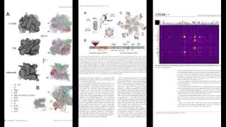 Molecular Biology &ndash; Part 2: Transcription and Transposition | MITx on edX | Course About Video