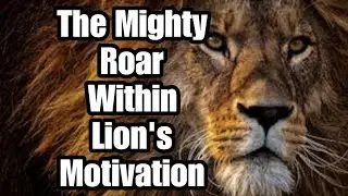 Let Your Lion Out | Courage to Pursue Dreams #success #motivation #lion