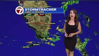 2021 Hurricane Season kicks off - Weather Forecast