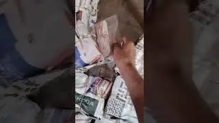 biri manufacture West Bengal biri manufacture bidi production biri manufacture biri production
