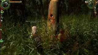 The Witcher (60) Flowers for Shani