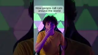 How people call cats around the world #real #cat #viral #unique #shorts #world #fyp