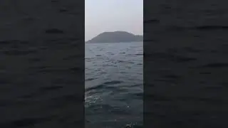 Speed Boat at Maithon Dam