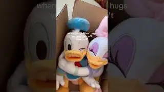 Daisy & Donald Duck 🤩🥰🎁 #plush #disney #winniethepooh #disneyplush #disneylove