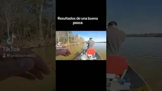 Lobina en el anzuelo #pesca#viralvideoshorts#fishinglifestyle#georgia#mexico#guatemala#salvador