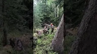 ePack Wheel hauling two moose quarters