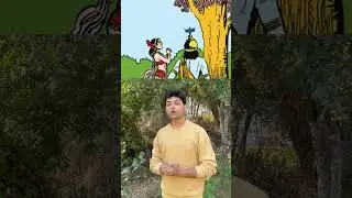 Parijaat ka ped | Parijat Tree story | Night Jasmine | Benefits of Parijat | Harisingaar ka ped