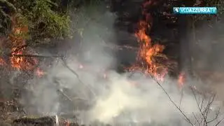 Incendi Piemonte, stato di massima pericolosit&agrave; per i boschi