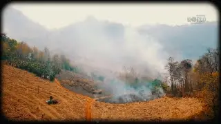 4K Ultra HD Video || Natural Disaster Forest Fire