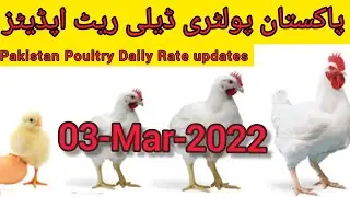 Daily Poultry Farm Rates updates | Broiler Rate Daily | Today poultry rate