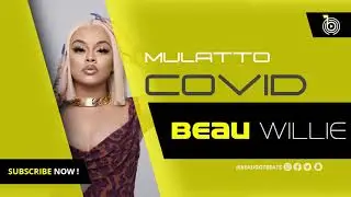 Mulatto Type Beat - 