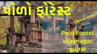 પોળો ના જંગલ વિજયનગર|| polo Forest at Vijaynagar Gujrat