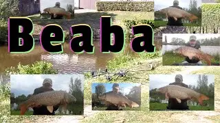 peche de la carpe , peche rapide