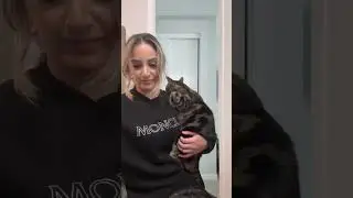 CHASE THE CLINGY CAT 😹 #shorts #viral