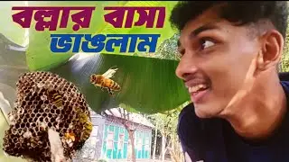 আজকে একটা বল্লার বাসা ভাংলাম || ''Breaking a Giant Hornet Nest Vlog