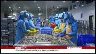 BBC Business Today Japan news