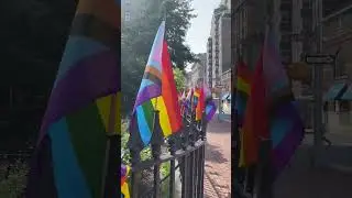 NYC PRIDE1 on our morning walk we found a GLITTER RAINBOW appeared overnight in the crosswalk at